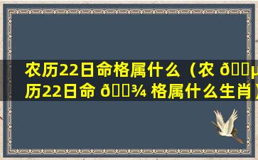 农历22日命格属什么（农 🐵 历22日命 🌾 格属什么生肖）